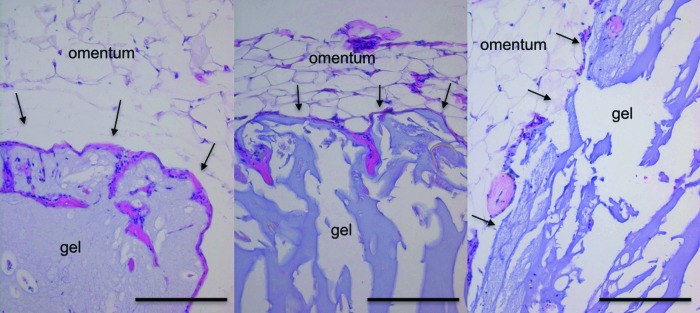 FIG. 10.