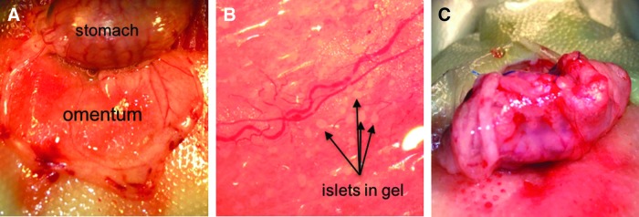 FIG. 6.