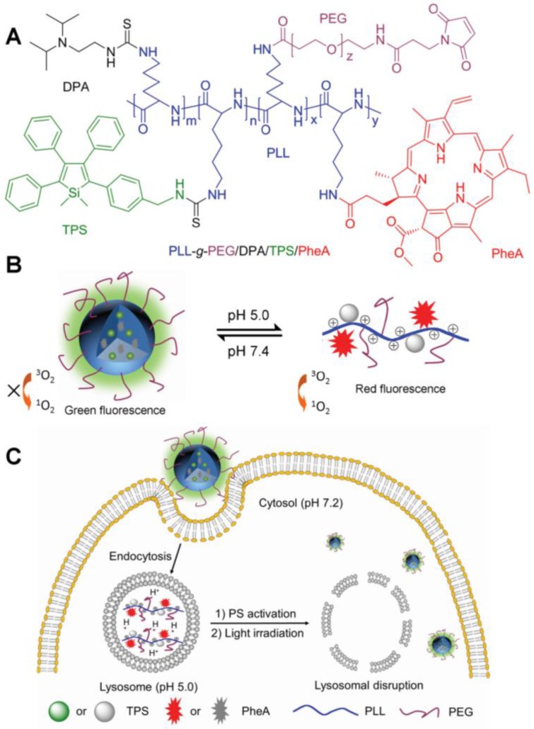 Figure 12