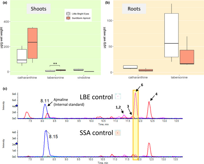 FIGURE 3