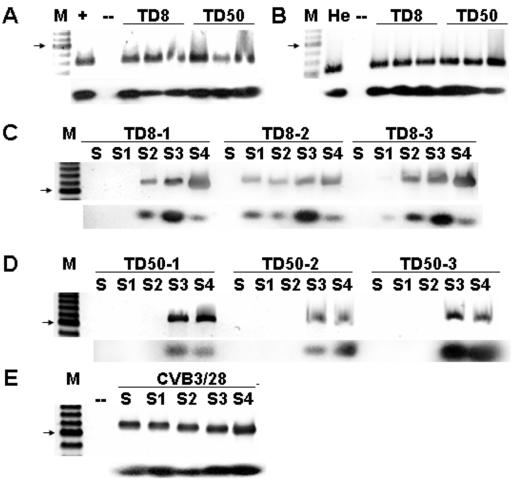 FIG. 10.