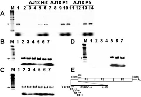 FIG. 3.