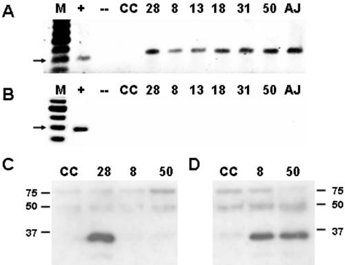 FIG. 7.