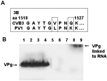 FIG. 9.