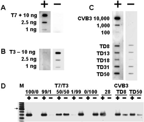 FIG. 8.