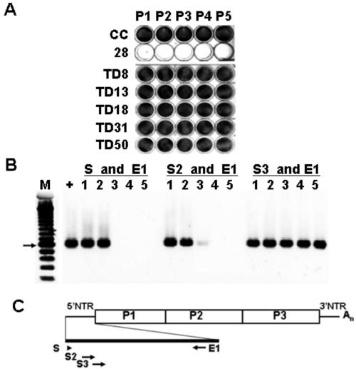 FIG. 6.