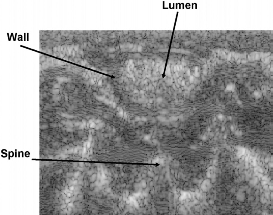 Fig. 2