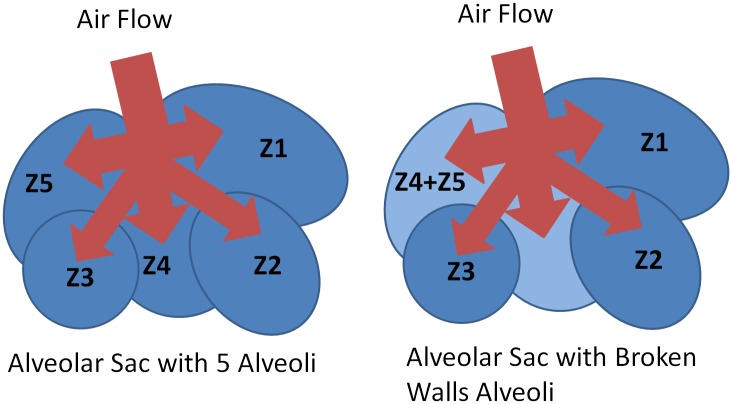 Fig 6