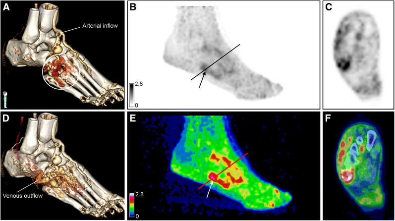 FIGURE 1.