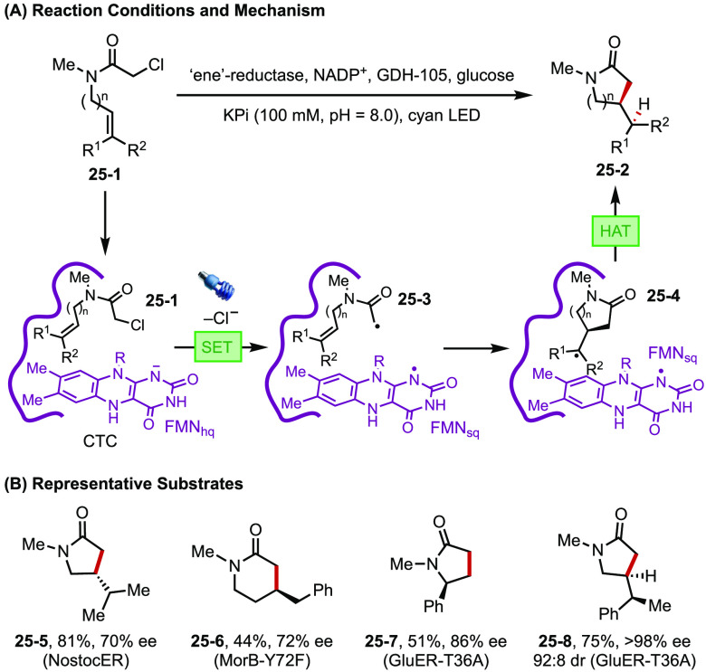 Figure 25