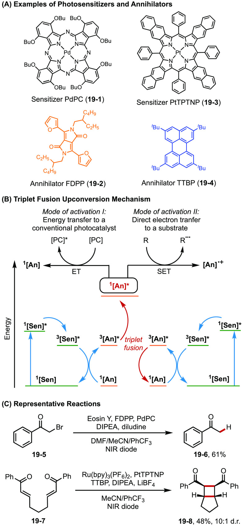 Figure 19