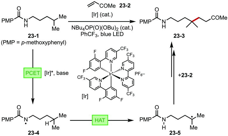 Figure 23