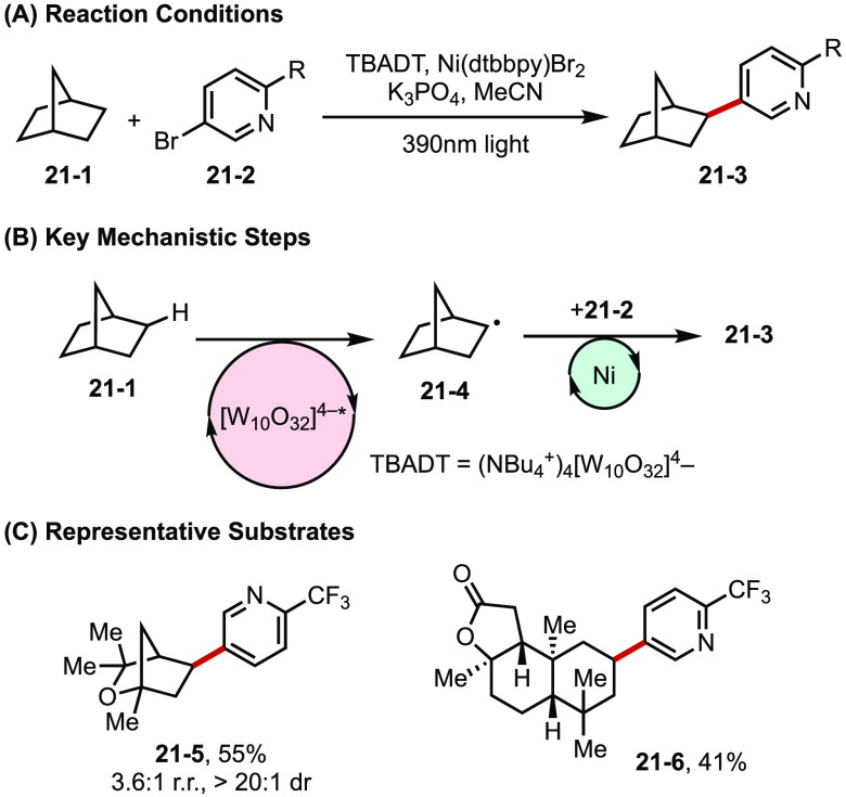 Figure 21