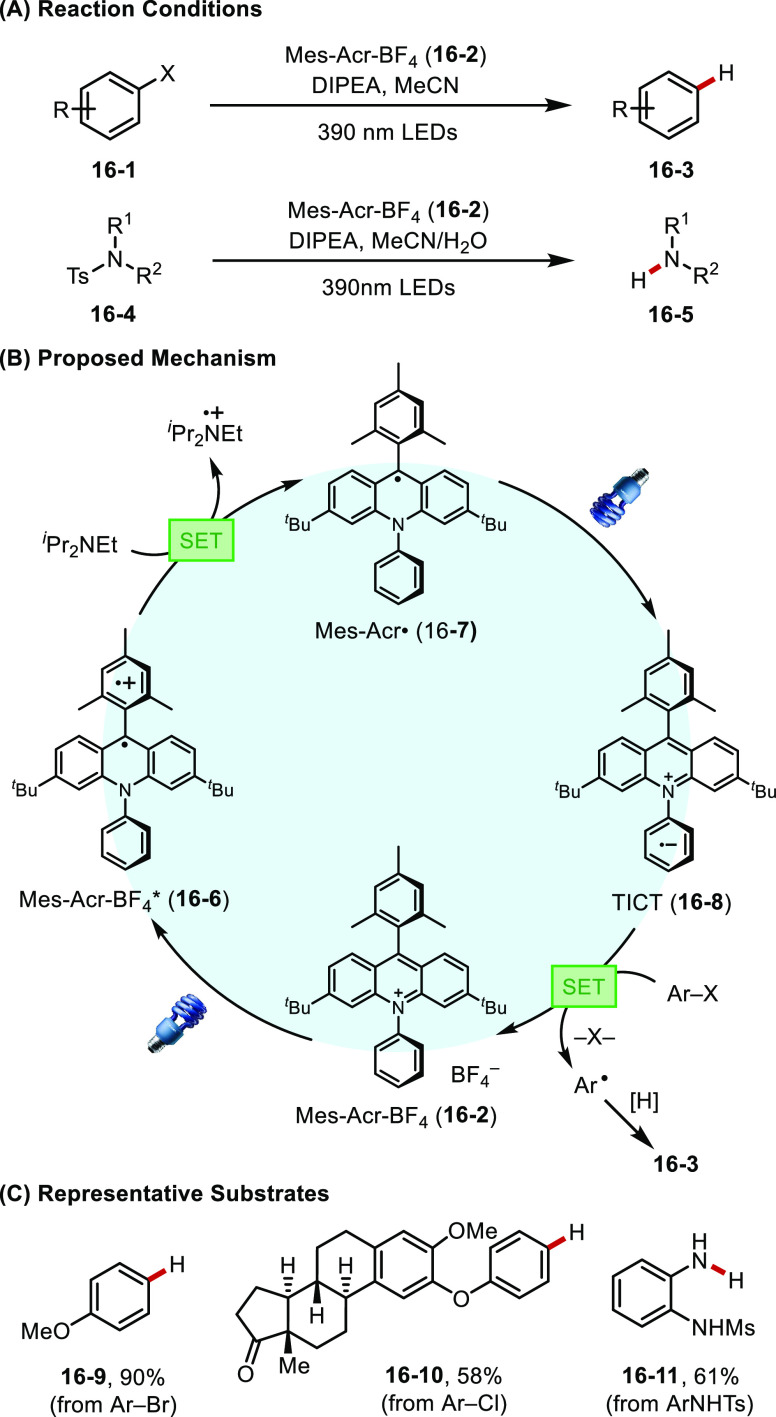 Figure 16