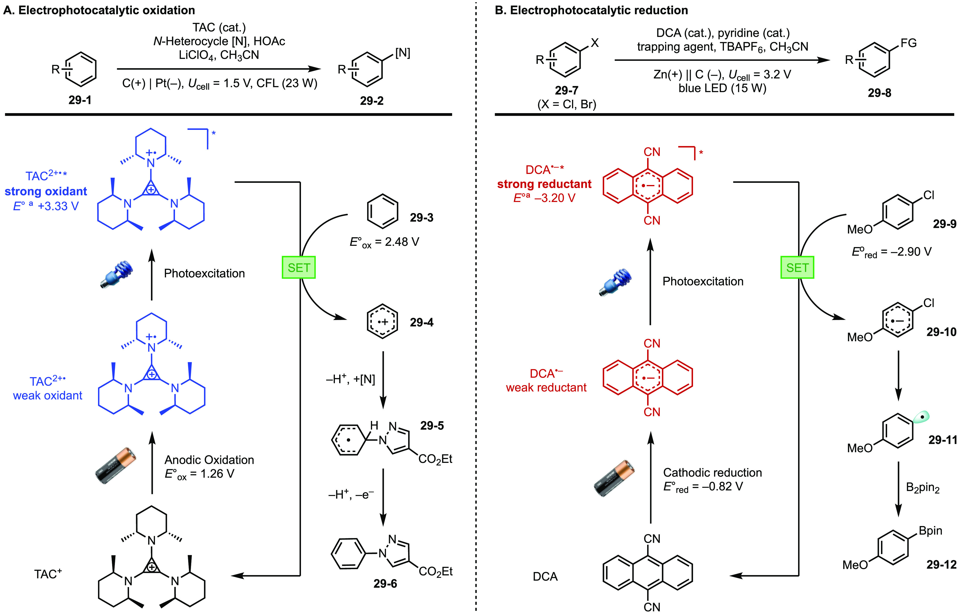 Figure 29