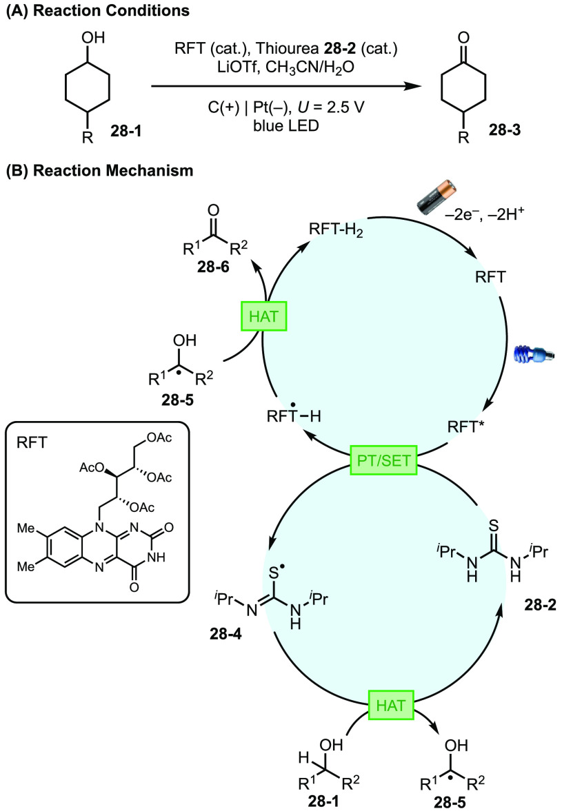 Figure 28