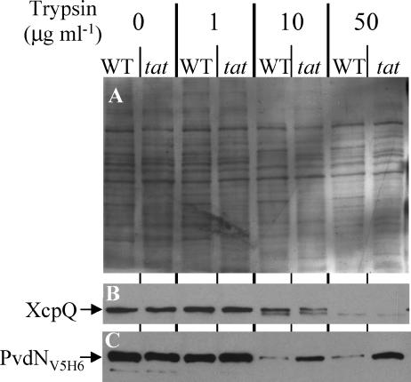 FIG. 6.