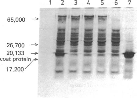 graphic file with name pnas00042-0194-a.jpg