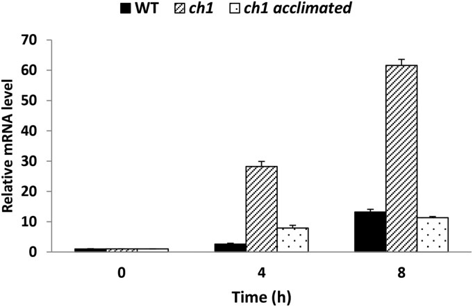 Figure 1.