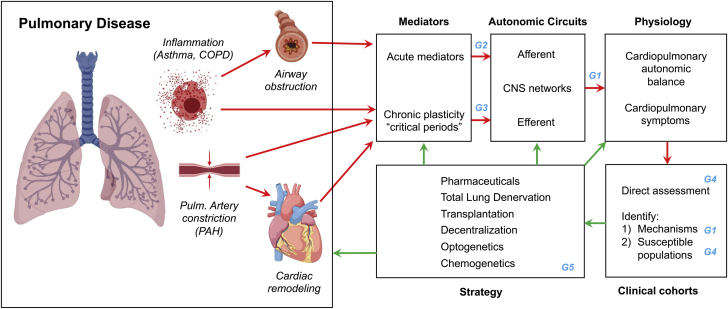 Figure 6