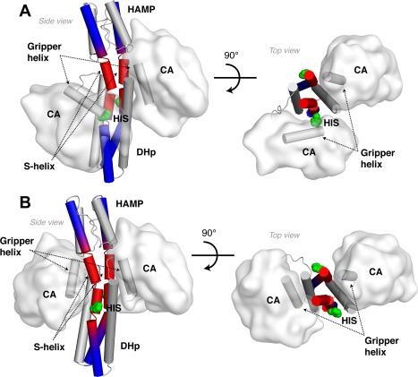 Figure 11