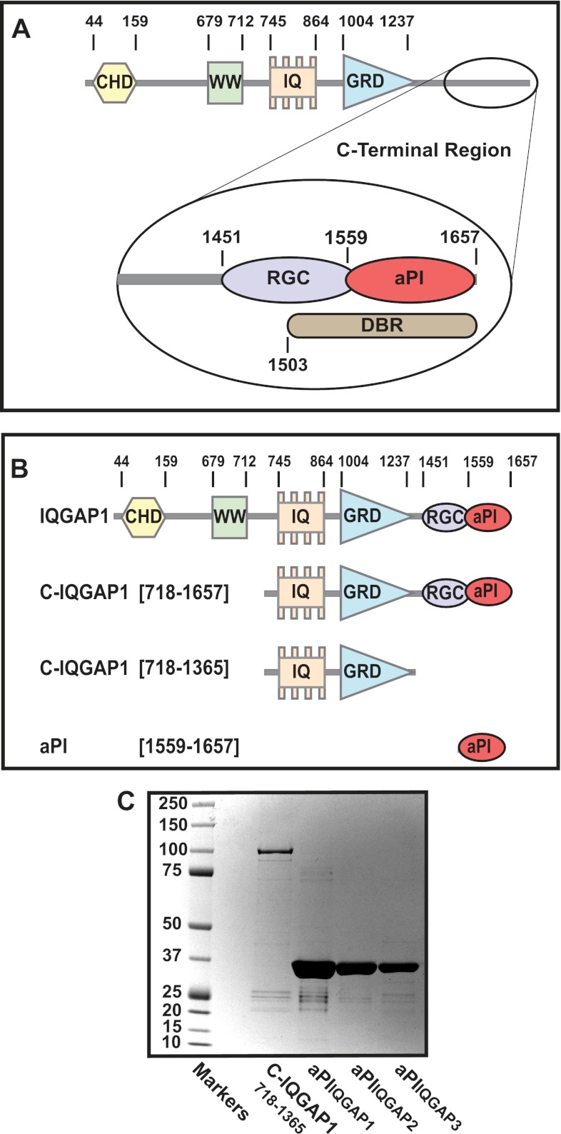 FIGURE 1.