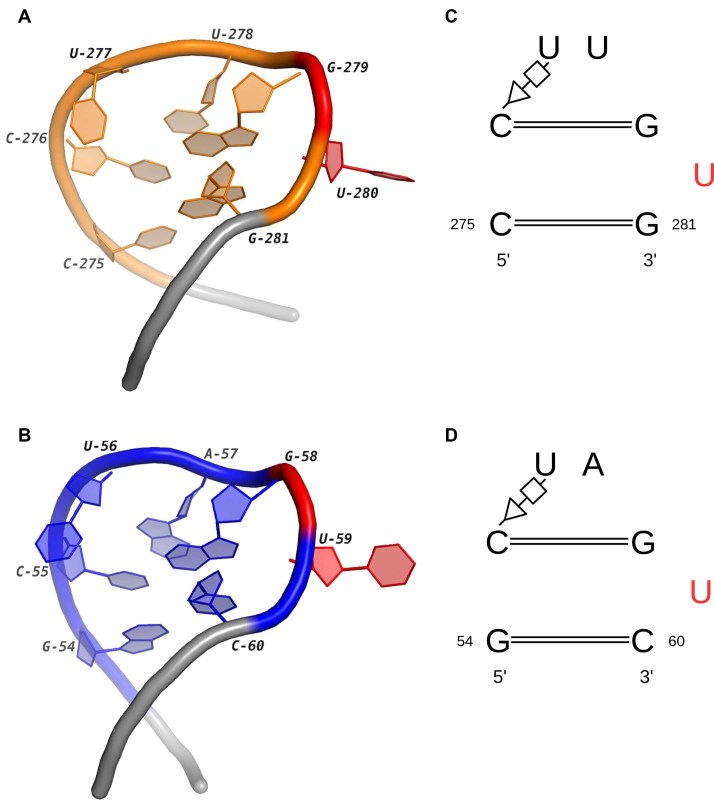 Figure 5.