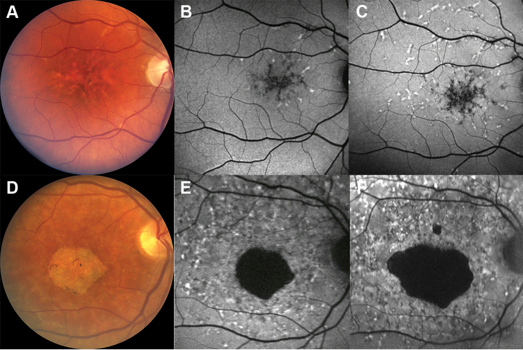 Figure 4: