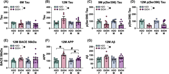 FIGURE 11