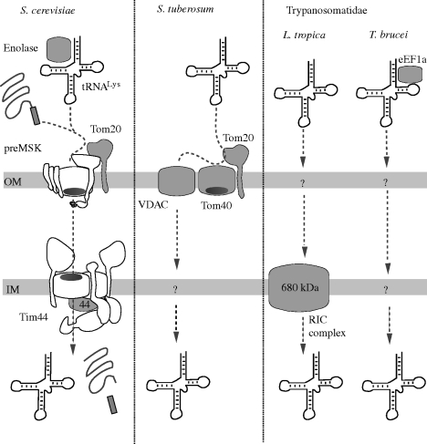 Figure 5.