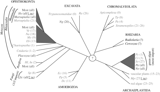 Figure 4.