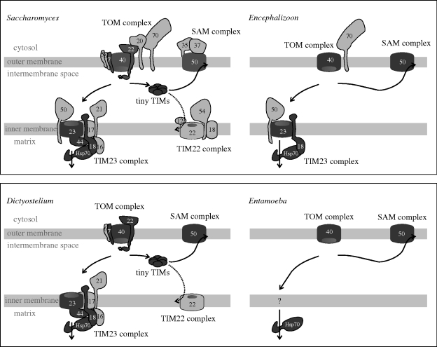 Figure 3.