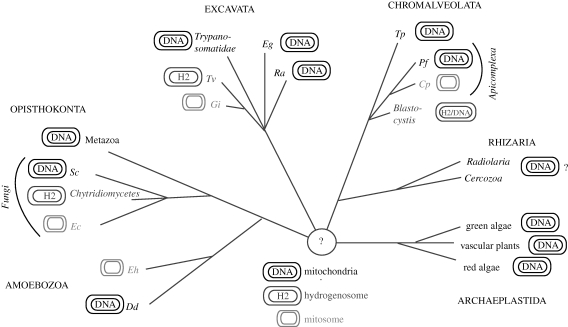 Figure 1.