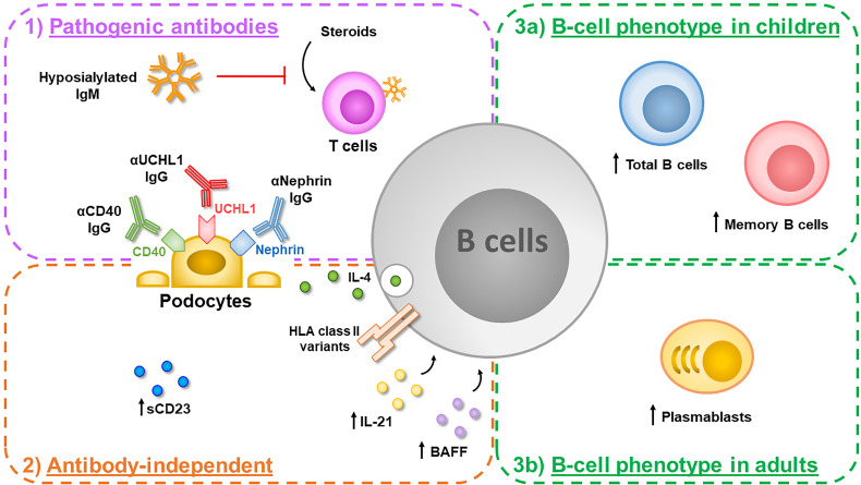 Figure 1