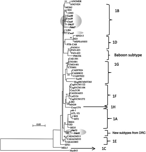 FIG. 3.