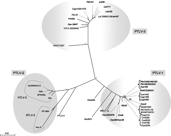 FIG. 2.