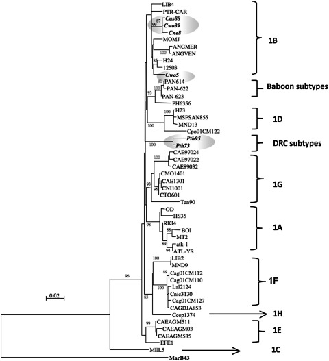 FIG. 3.