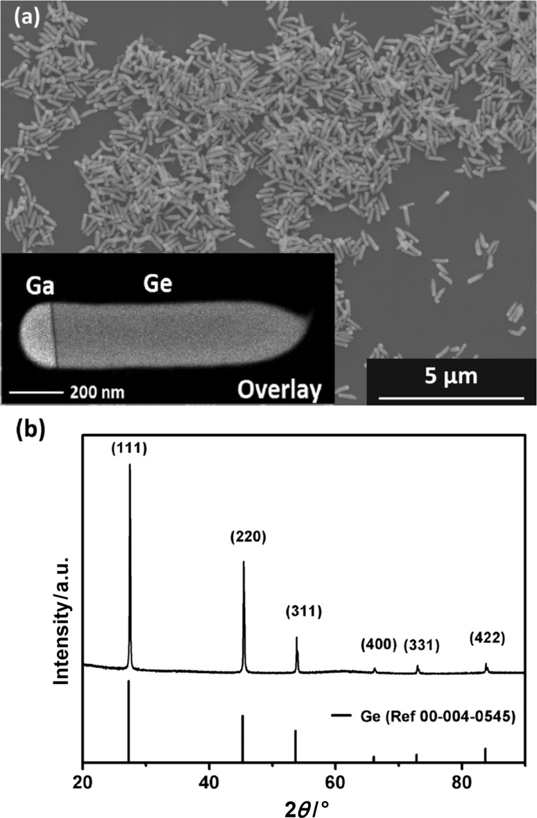 Fig. 1