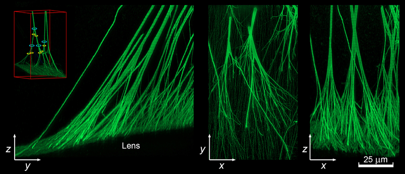 Figure 6.