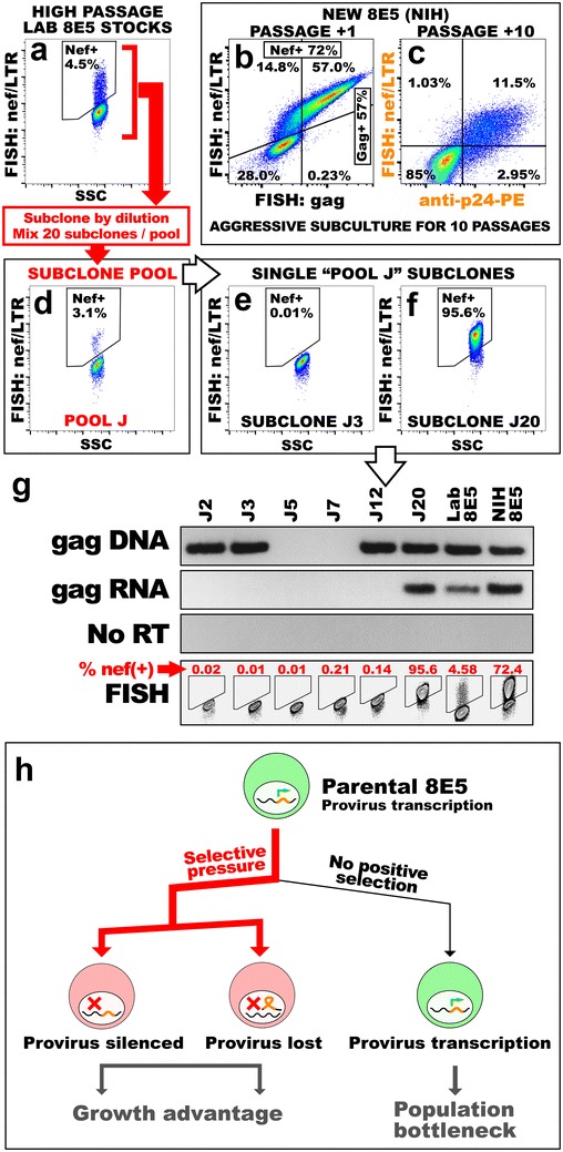 Fig. 1