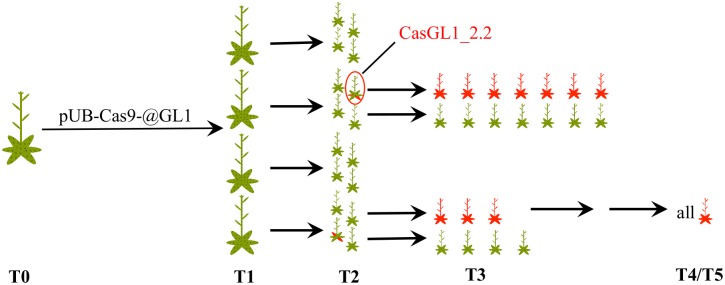 FIGURE 3