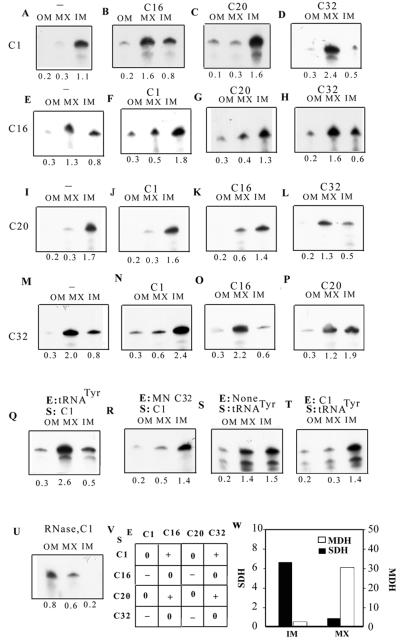 FIG. 8.