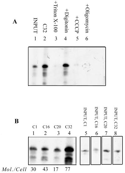 FIG. 5.