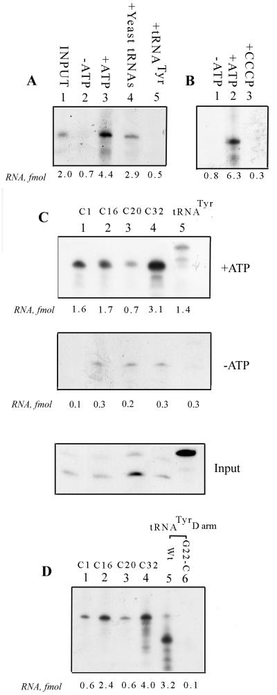 FIG. 4.