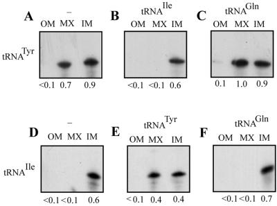 FIG. 9.