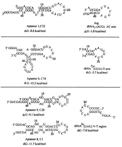 FIG. 2.