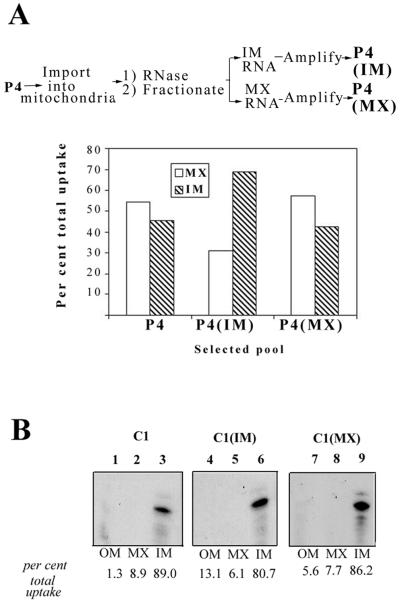 FIG. 6.