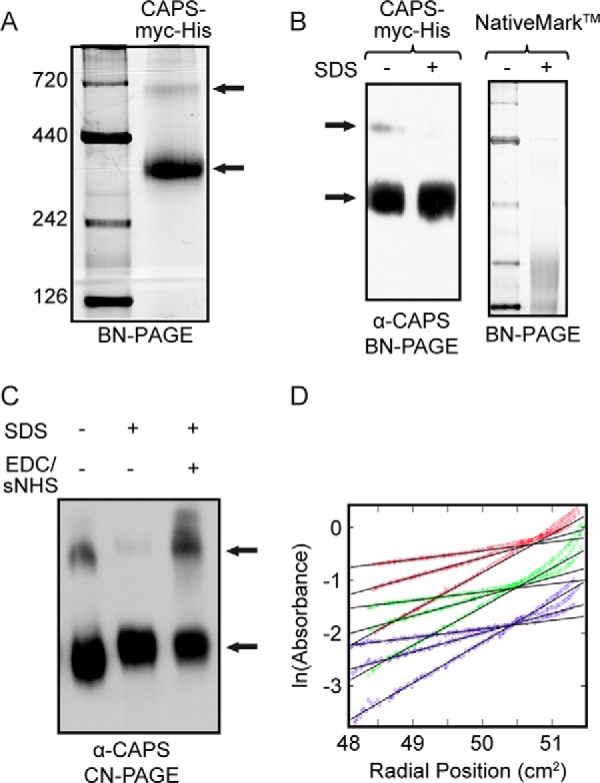 FIGURE 1.