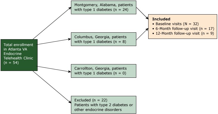 Fifty-four patients were enrolled in the Atlanta VAMC Endocrinology Telehealth Clinic. Thirty-two patients with type 1 diabetes were assessed at baseline, 17 patients at 6-month follow-up, and 9 patients at 12-month follow-up. Twenty-four patients were from the Montgomery, Alabama, VAMC, and 8 patients were from the Columbus, Georgia, VAMC. Twenty-two patients were excluded from this study, because they were treated for other endocrine issues, such as type 2 diabetes.