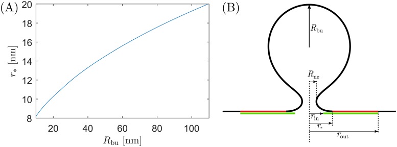 Fig 7